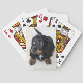 Cute black Dachshund Puppy Dog Pokerkaarten