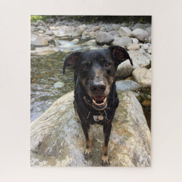 Cute Black Dog Lab Shepherd Dog Natuur van foto Legpuzzel