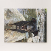 Cute Black Dog Lab Shepherd Dog Natuur van foto Legpuzzel (Horizontaal)