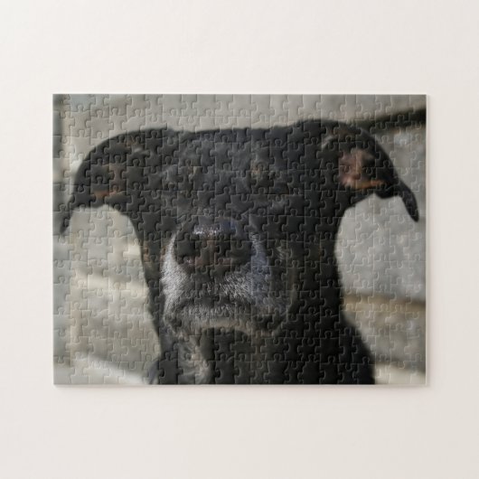 Cute Black Dog Lab Shepherd Mix Breed Hard Evil Legpuzzel (Horizontaal)