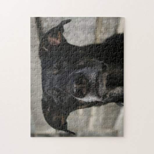 Cute Black Dog Lab Shepherd Mix Breed Hard Evil Legpuzzel (Verticaal)