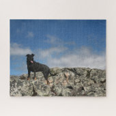 Cute Black Dog Mutt Lab Shephered Afbeelding Foto Legpuzzel (Horizontaal)