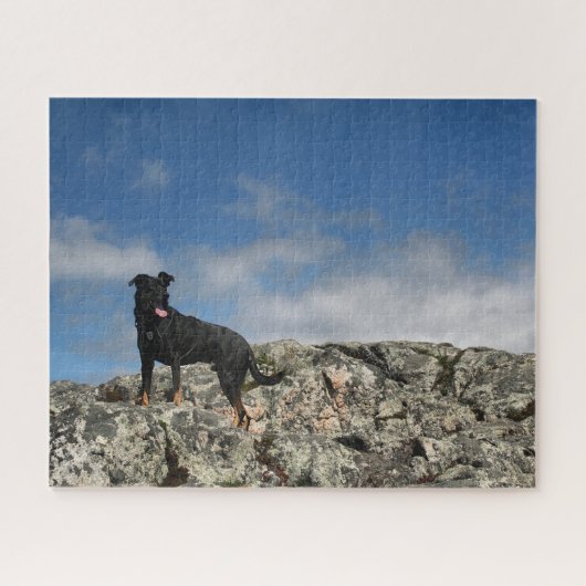 Cute Black Dog Mutt Lab Shephered Afbeelding Foto Legpuzzel (Horizontaal)