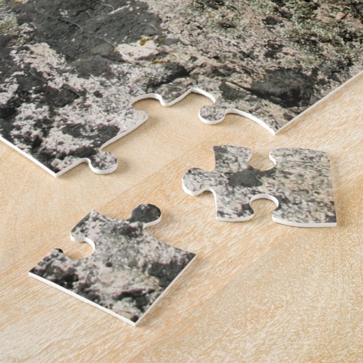 Cute Black Dog Mutt Lab Shephered Afbeelding Foto Legpuzzel (Zijkant)