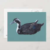 Cute Black Duck Boerderij Animal Briefkaart (Voorkant / Achterkant)