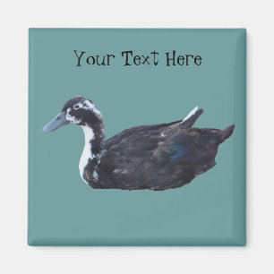 Cute Black Duck Boerderij Animal Magnet