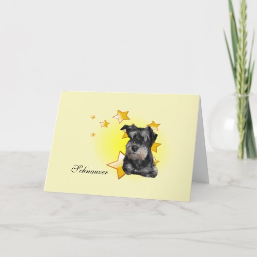 Cute Black en Silver Schnauzer zijn Star Kaart (Voorkant)