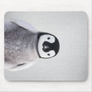 Cute Black en White Baby Penguin Muismat