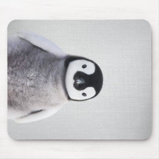 Cute Black en White Baby Penguin Muismat (Voorkant)