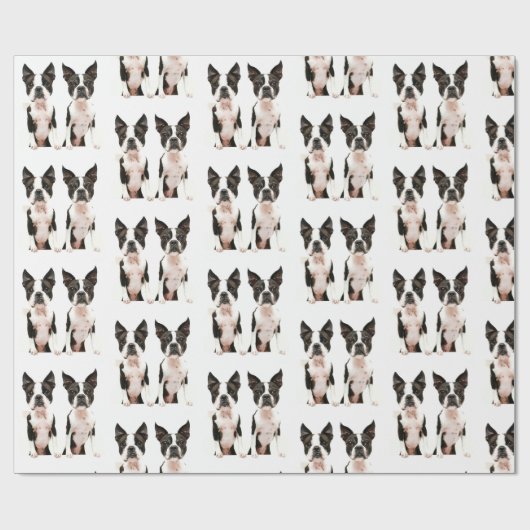 Cute Black en White Boston Terrier Pop Art Dog Cadeaupapier (Vlak)
