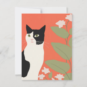 Cute Black en White Cat Briefkaart