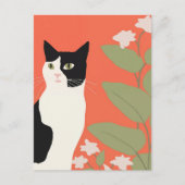 Cute Black en White Cat Briefkaart (Voorkant)