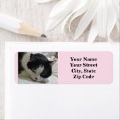 Cute Black en White Cat Photo Etiket (Insitu)