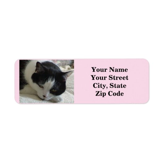 Cute Black en White Cat Photo Etiket (Voorkant)