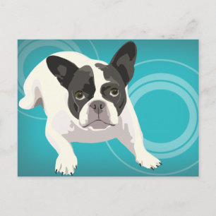 Cute Black en White French Bulldog op Blue Back Briefkaart
