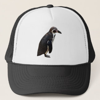 Cute Black en White Humboldt Penguin Pet