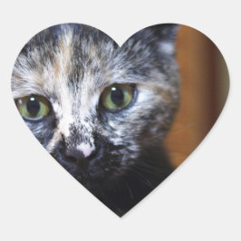 Cute Black en White Kitten Hart Sticker