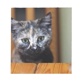 Cute Black en White Kitten Notitieblok