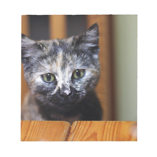 Cute Black en White Kitten Notitieblok (Voorkant)