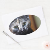 Cute Black en White Kitten Ovale Sticker (Envelop)