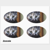 Cute Black en White Kitten Ovale Sticker (Vel)