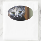 Cute Black en White Kitten Ovale Sticker (Tas)