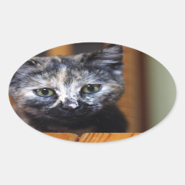 Cute Black en White Kitten Ovale Sticker