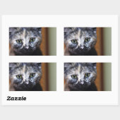 Cute Black en White Kitten Rechthoekige Sticker (Vel)