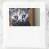 Cute Black en White Kitten Rechthoekige Sticker (Tas)