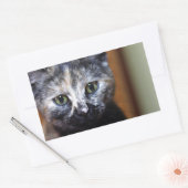 Cute Black en White Kitten Rechthoekige Sticker (Envelop)