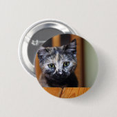 Cute Black en White Kitten Ronde Button 5,7 Cm (Voorkant /achterkant)