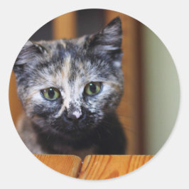 Cute Black en White Kitten Ronde Sticker