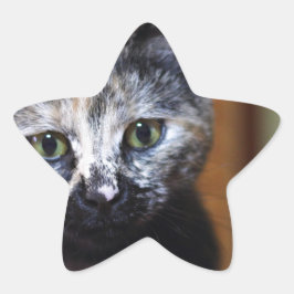 Cute Black en White Kitten Ster Sticker