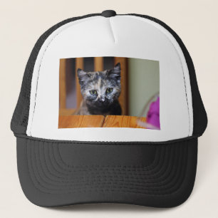 Cute Black en White Kitten Trucker Pet