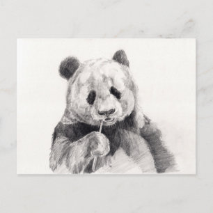 Cute Black en White Panda Illustration Briefkaart