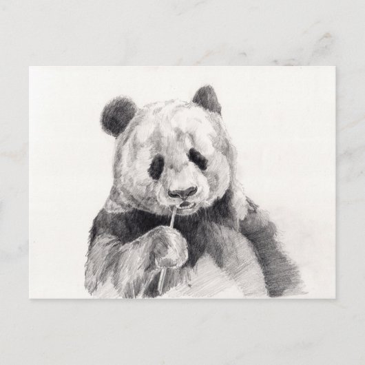 Cute Black en White Panda Illustration Briefkaart (Voorkant)