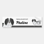 Cute Black en White Phalène Dog Owner Bumpersticker (Voorkant)