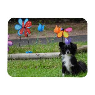 Cute Black en White Puppy Colorful Spring Flower Magneet