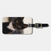 Cute Black en White Tuxedo Kitten Bagagelabel (Voorkant horizontaal)