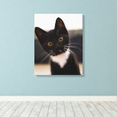 Cute Black en White Tuxedo Kitten Canvas Afdruk (Insitu (Houten vloer))