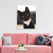 Cute Black en White Tuxedo Kitten Canvas Afdruk (Insitu (Woonkamer))