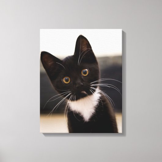 Cute Black en White Tuxedo Kitten Canvas Afdruk (Voorkant)