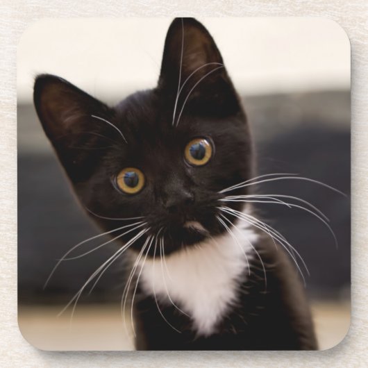 Cute Black en White Tuxedo Kitten Drankjes Onderzetter (Voorkant)
