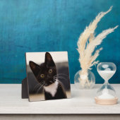 Cute Black en White Tuxedo Kitten Fotoplaat (Insitu)