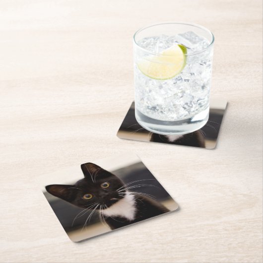 Cute Black en White Tuxedo Kitten Kartonnen Onderzetters (Insitu)