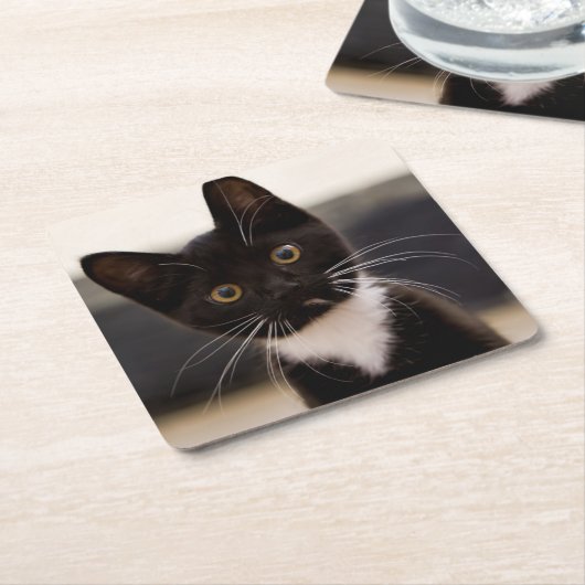 Cute Black en White Tuxedo Kitten Kartonnen Onderzetters (Schuin)