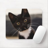 Cute Black en White Tuxedo Kitten Muismat (Met muis)