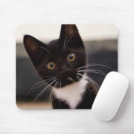 Cute Black en White Tuxedo Kitten Muismat (Met muis)