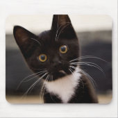 Cute Black en White Tuxedo Kitten Muismat (Voorkant)