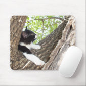 Cute Black en White Tuxedo Kitten Muismat (Met muis)